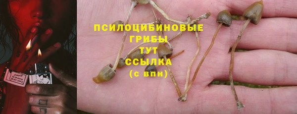 Альфа ПВП Балабаново