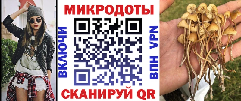 KRAKEN tor  Красный Сулин  Псилоцибиновые грибы Psilocybe 