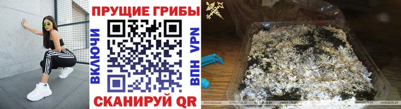 Псилоцибиновые грибы GOLDEN TEACHER Красный Сулин